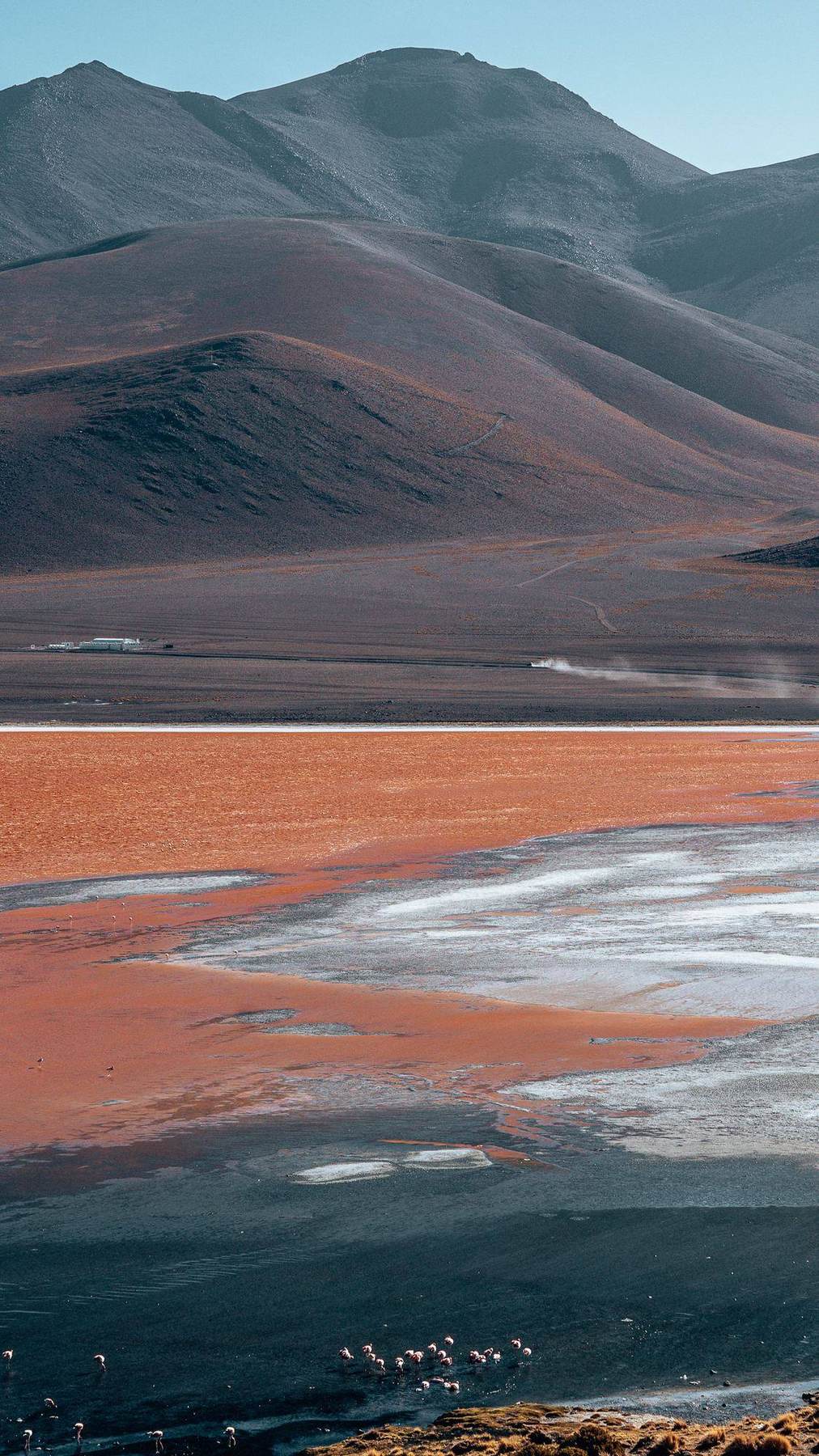 Rote Laguna Colorada mit Flamingos vor Andengipfeln