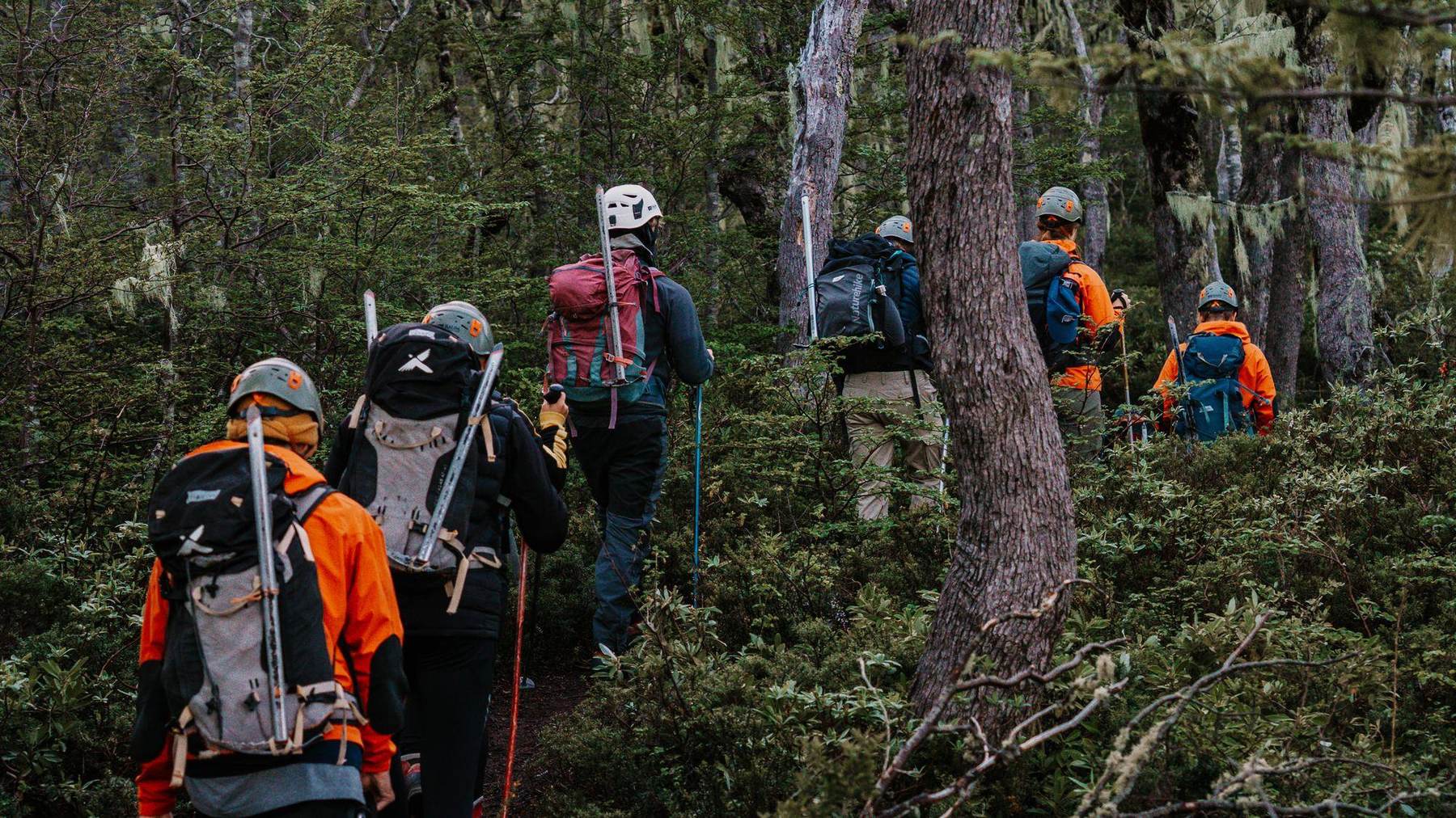 Die Gruppe wandert mit Eispickeln am Rucksack durch dichten Wald