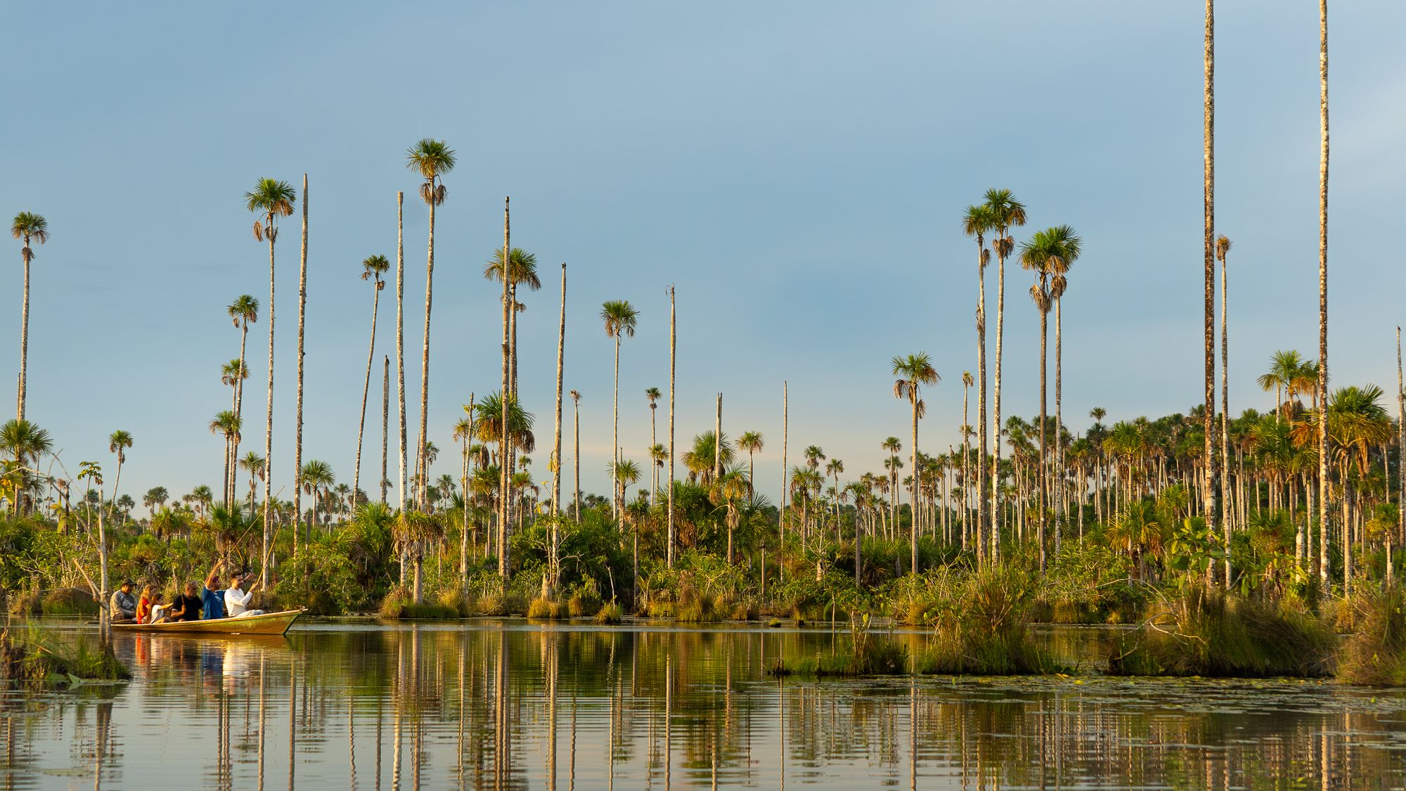 Kanu zwischen hohen Moriche-Palmen in einer Amazonas-Lagune